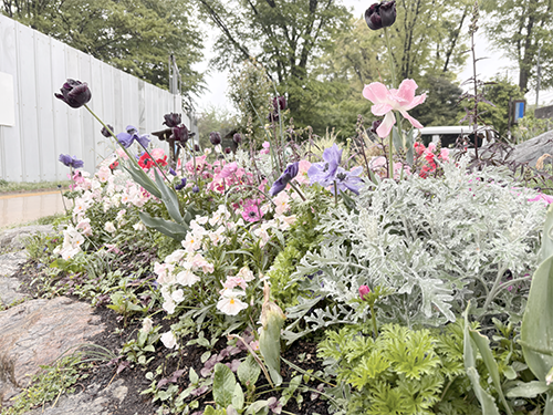 墨出し現場で向かう途中に見つけた素敵な花壇